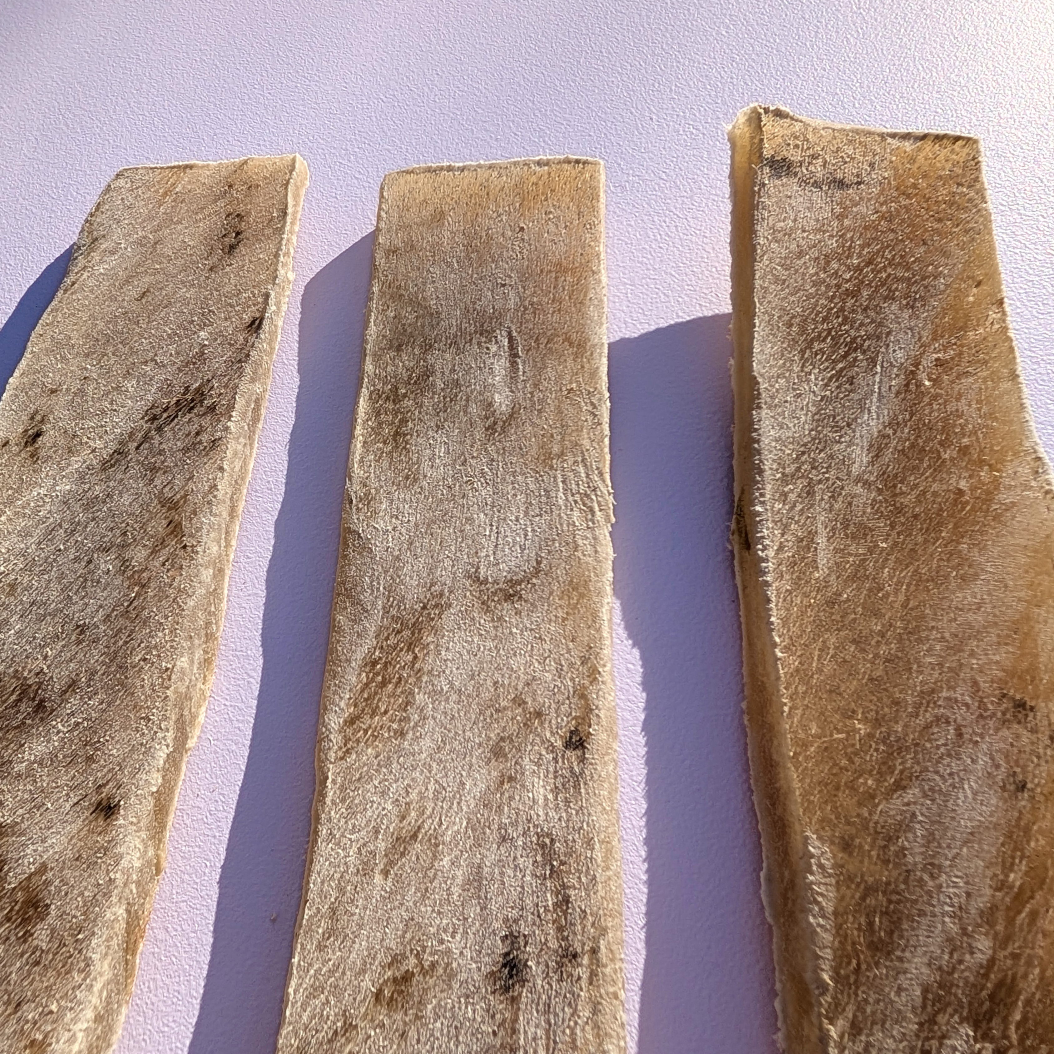 Buffalo Hide Chew